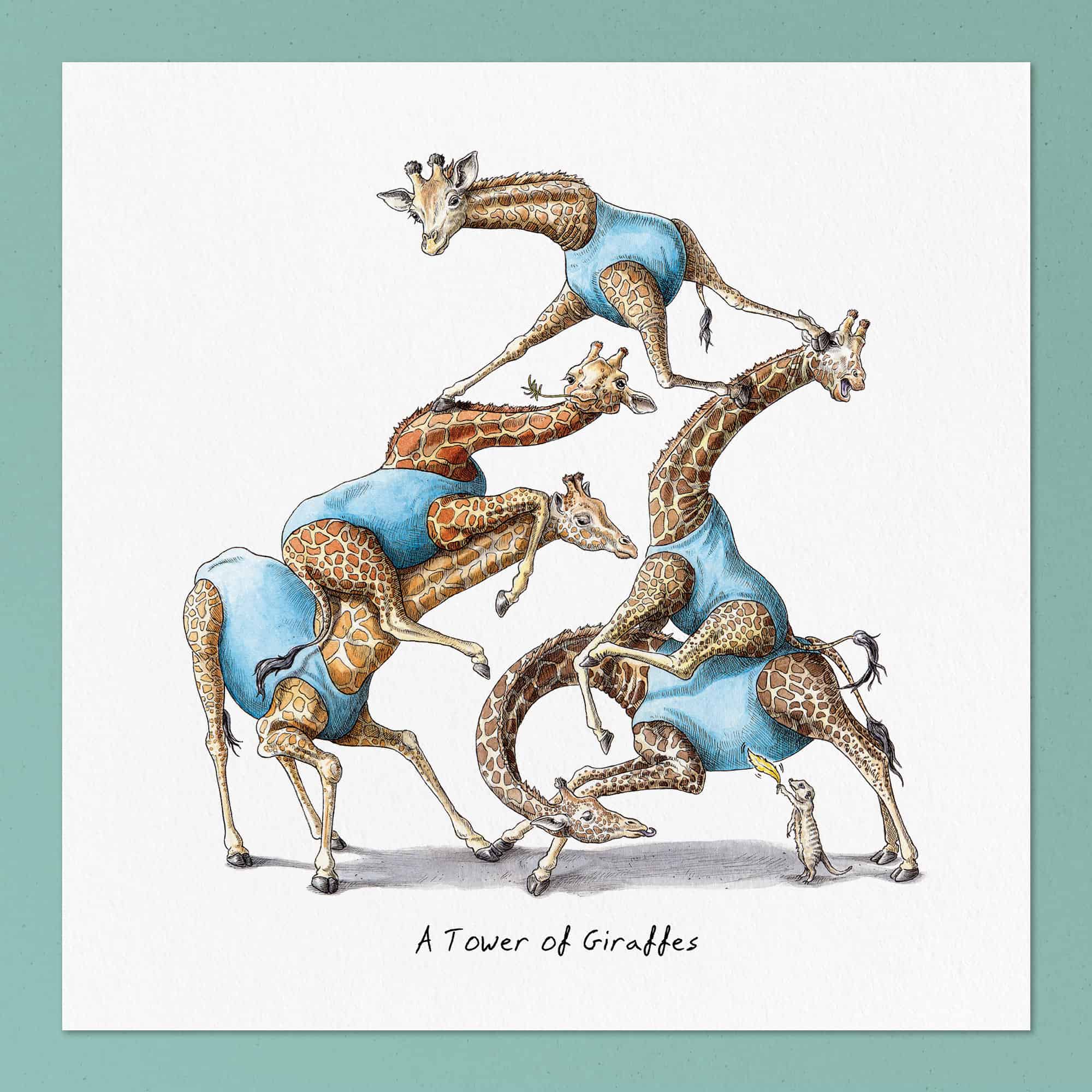 A Tower of Giraffes Print
