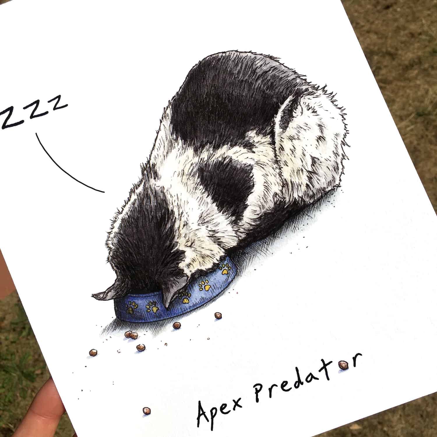 Apex Predator (Snooze) Print