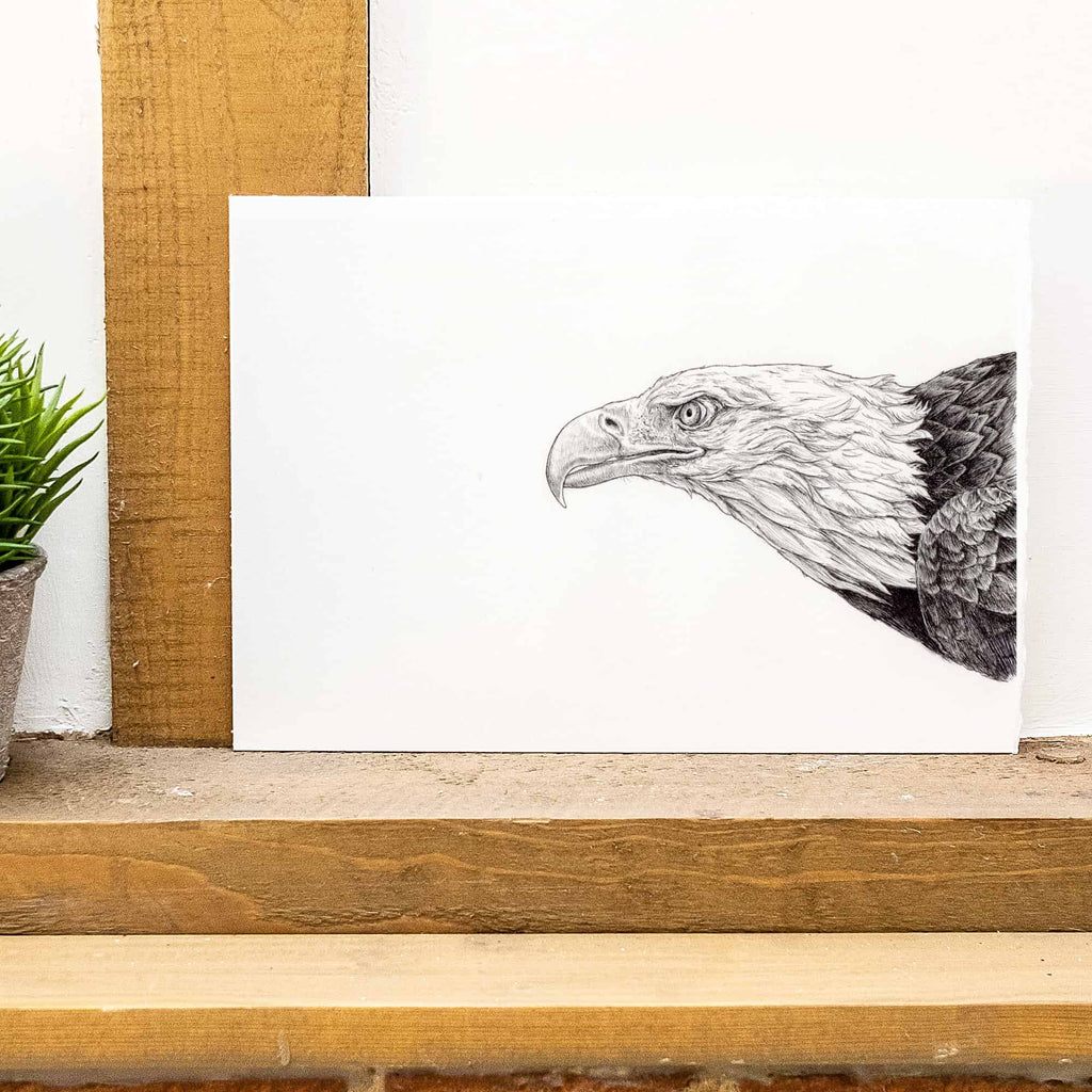 Bald Eagle Original