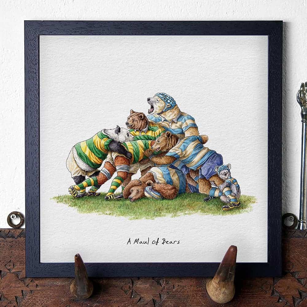 Artwork of bears in rugby kit on a white background