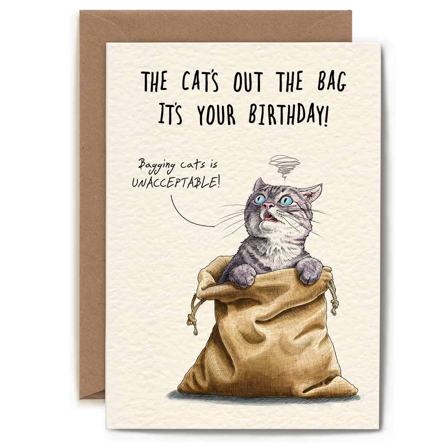 Birthday card with a cat emerging from a bag and humorous text.