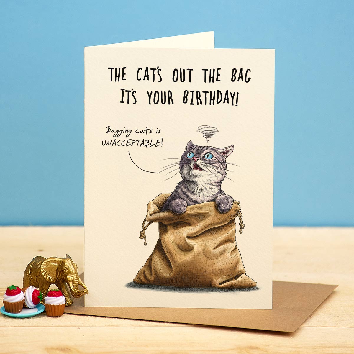 Birthday card with a cat in a bag and humorous text.