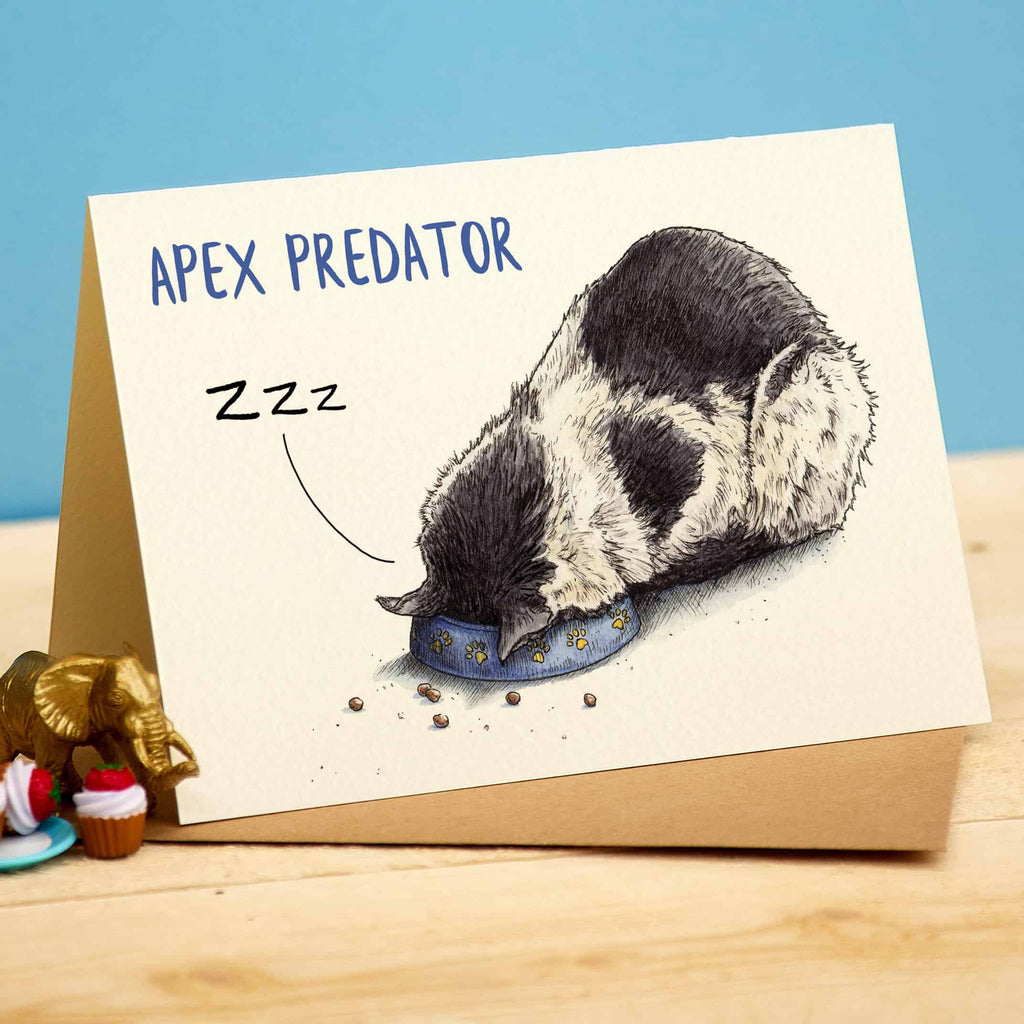 Card with a sleeping otter illustration and 'Apex Predator' text on a wooden surface.
