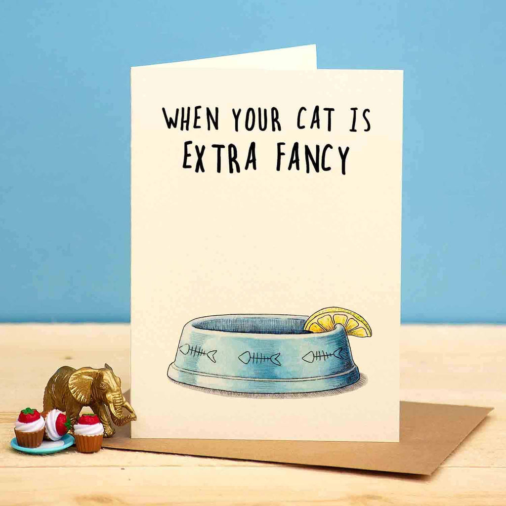 Card with a cat bowl illustration and humorous text on a blue background