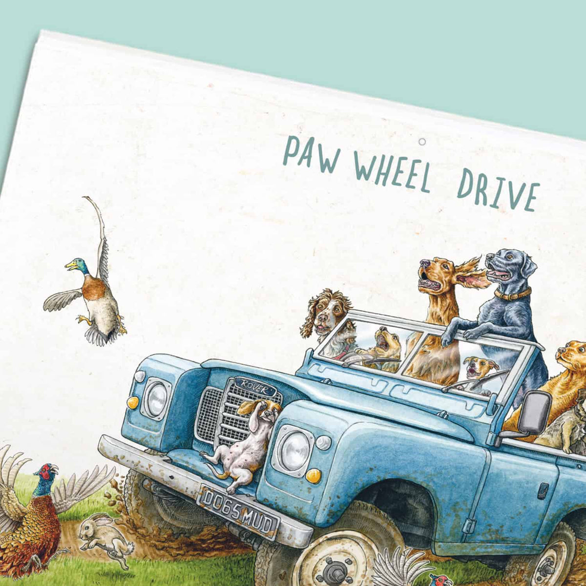 The Country Mile Calendar 2027
