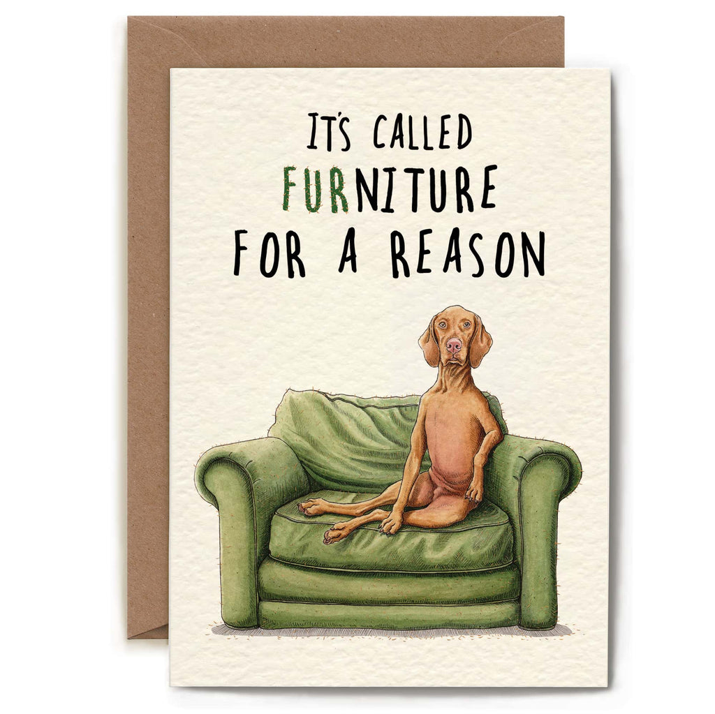 Card with a dog on a couch and text 'It's called furniture for a reason' on a beige background.