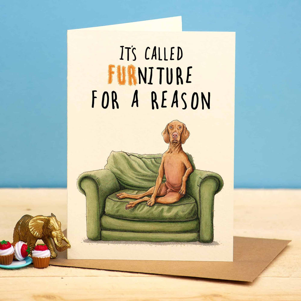 Card with a dog on a couch and text 'It's called furniture for a reason' on a blue background