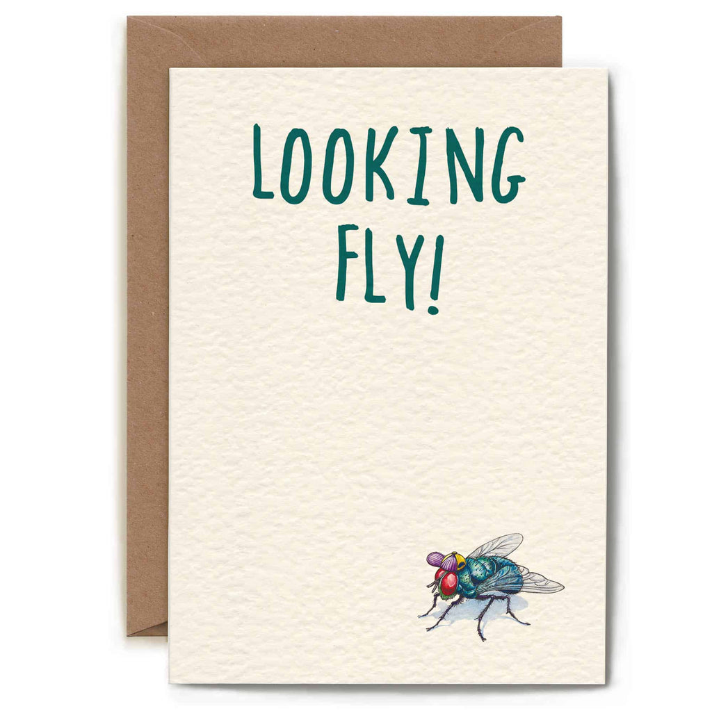 Greeting card with a fly illustration and 'LOOKING FLY!' text on a white background