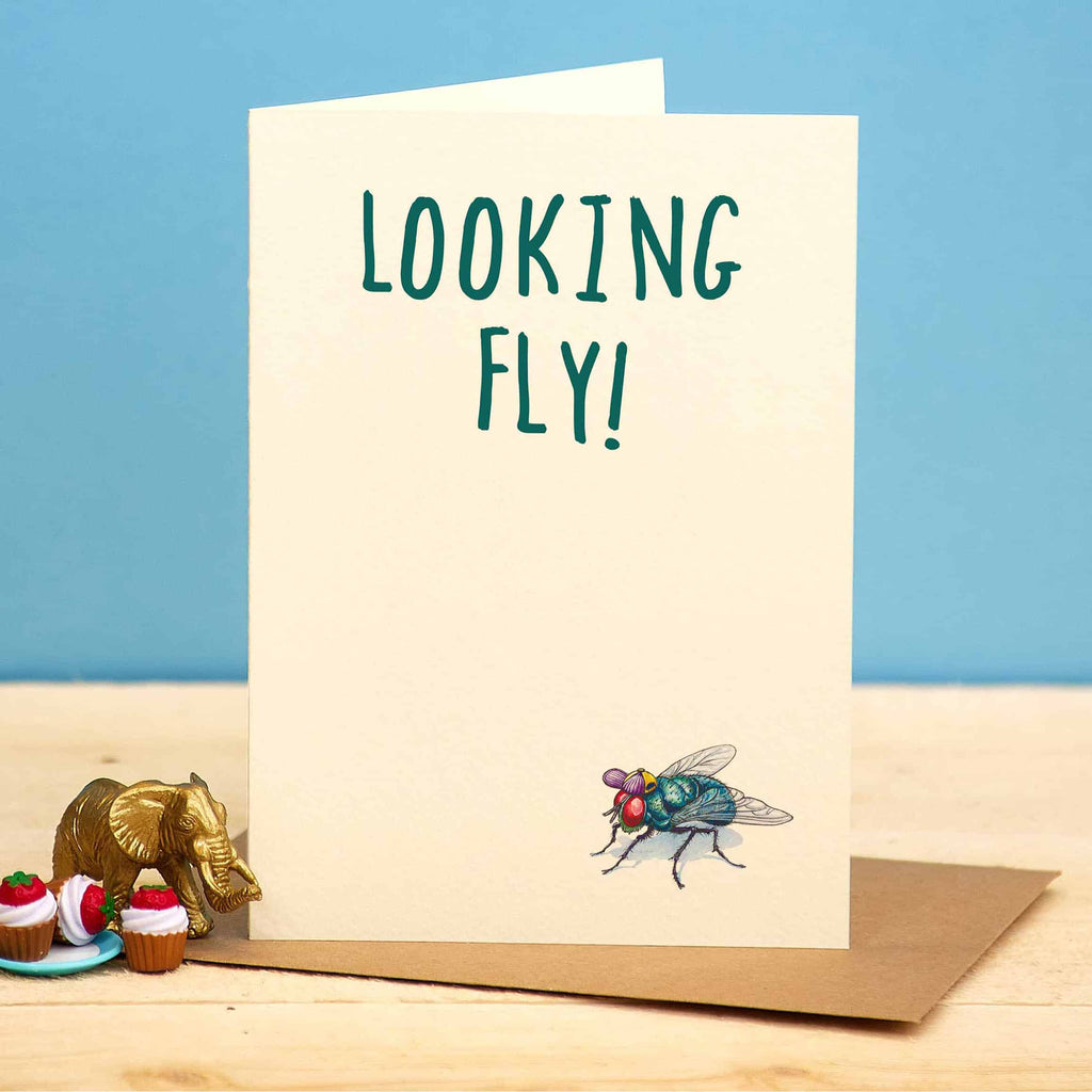 Card with a fly illustration and 'LOOKING FLY!' text on a blue background