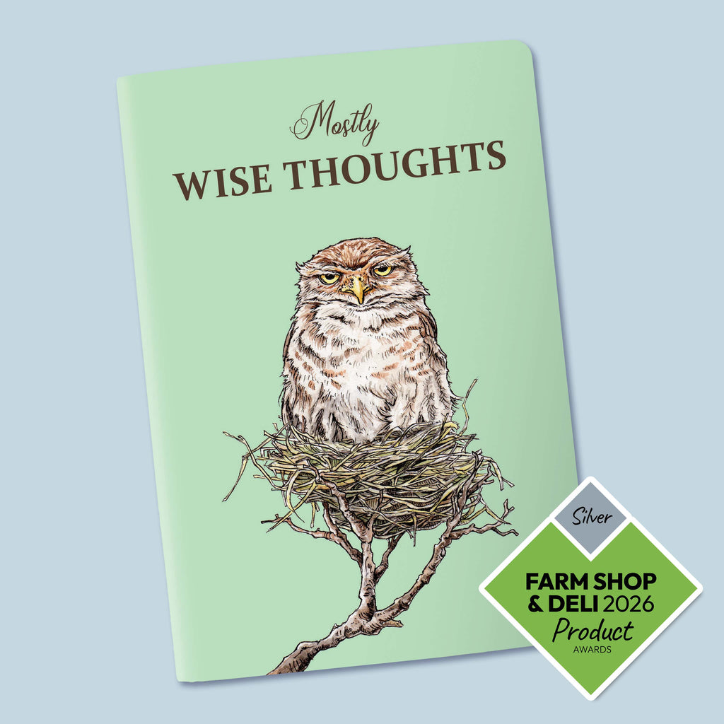 Notebook with owl illustration and 'Mastly Wise Thoughts' text on a light blue background