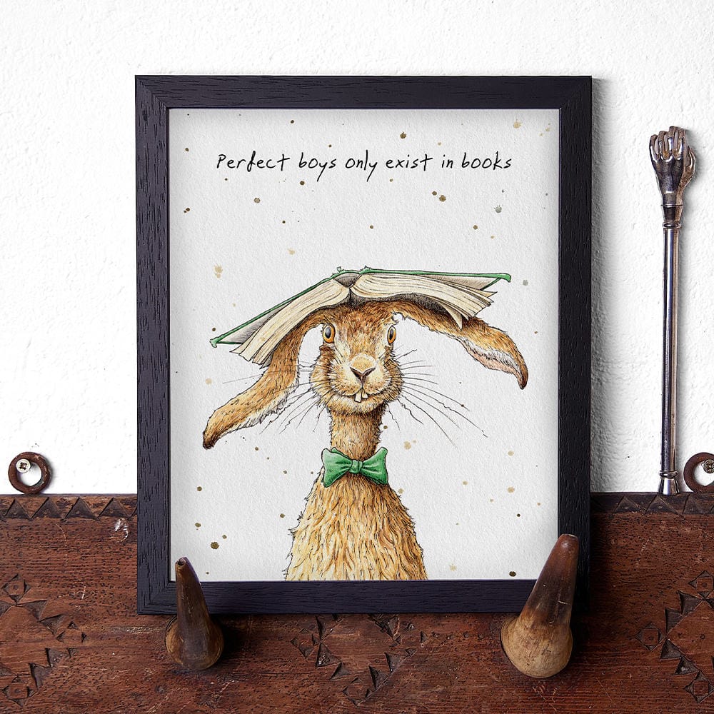 Artwork of a rabbit with a book on its head and text 'Perfect boys only exist in books' on a white background.
