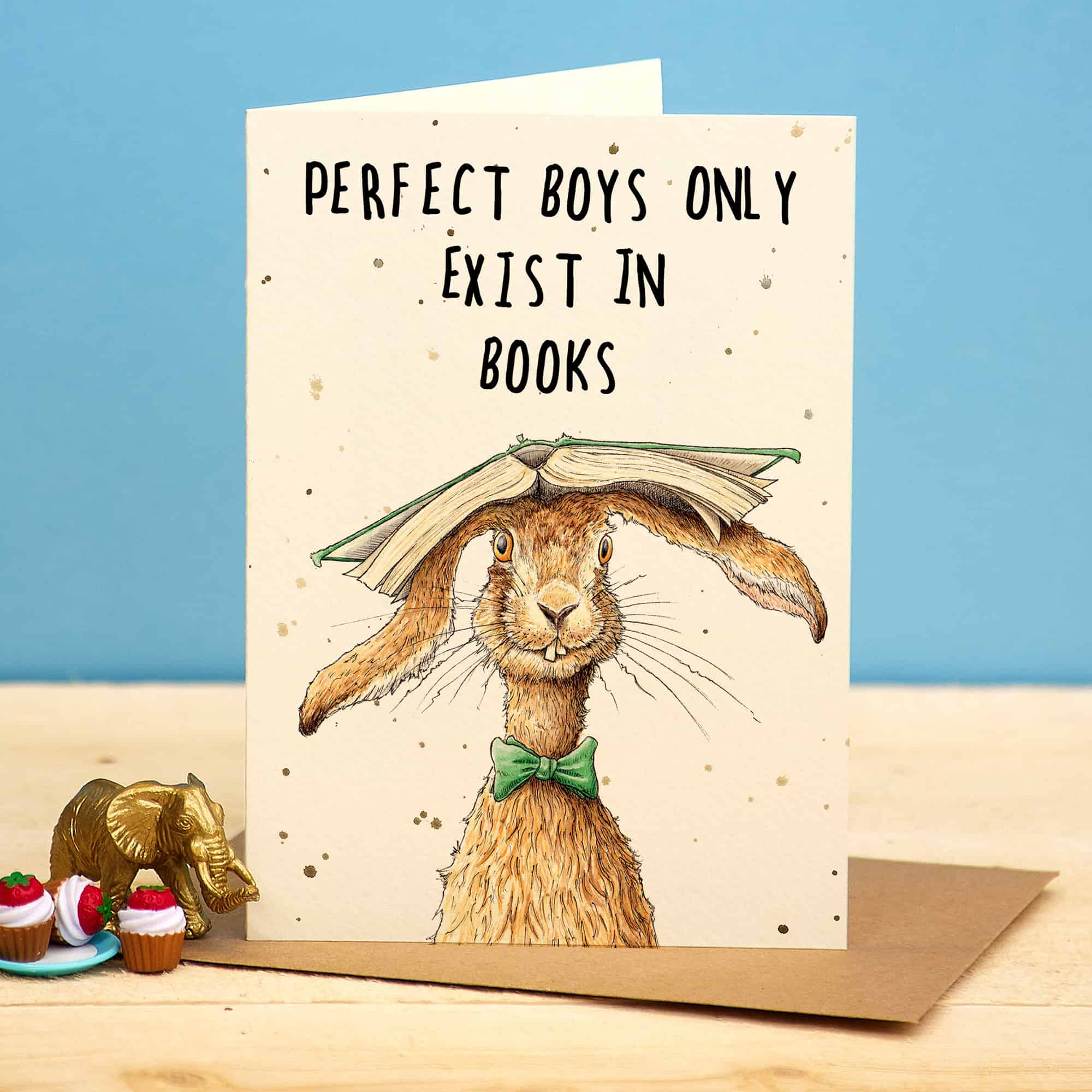 Card with a rabbit holding a book and text 'Perfect boys only exist in books' on a blue background.