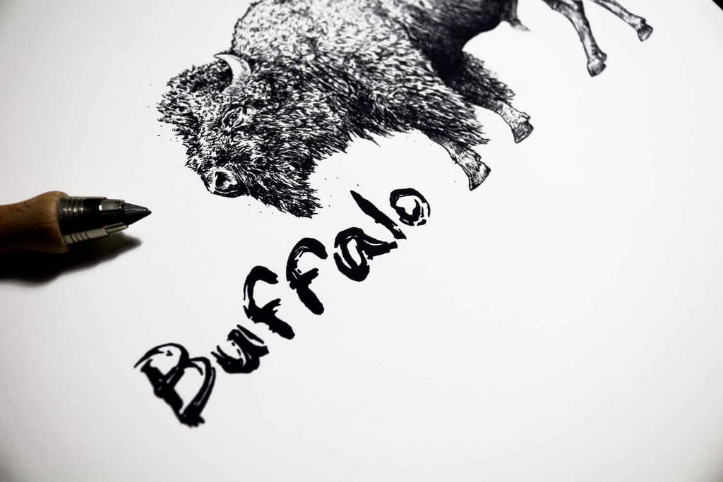 Black and white text reading “Buffalo” beside a highly detailed back and white drawing of a buffalo’s head