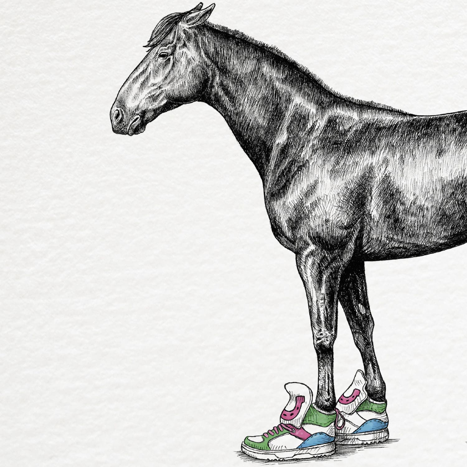 Horseshoes Print