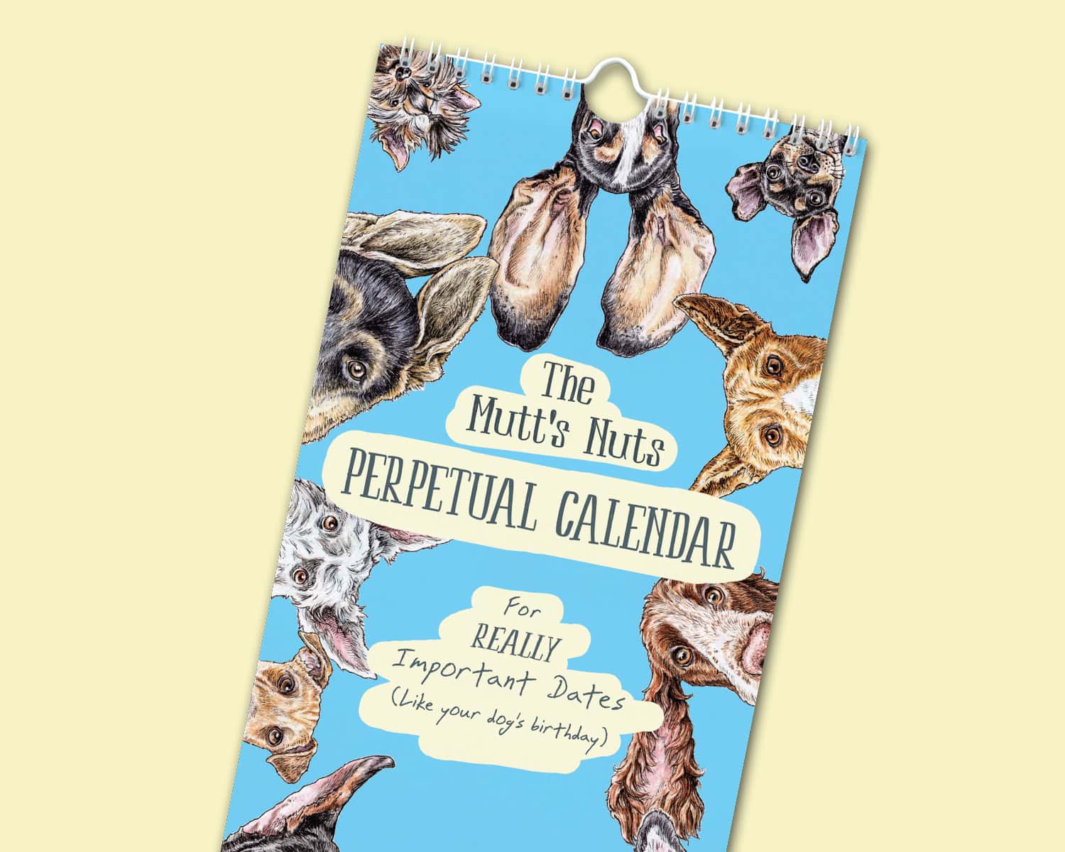 Mostly Wise Thoughts Owl A5 Softcover Notebook