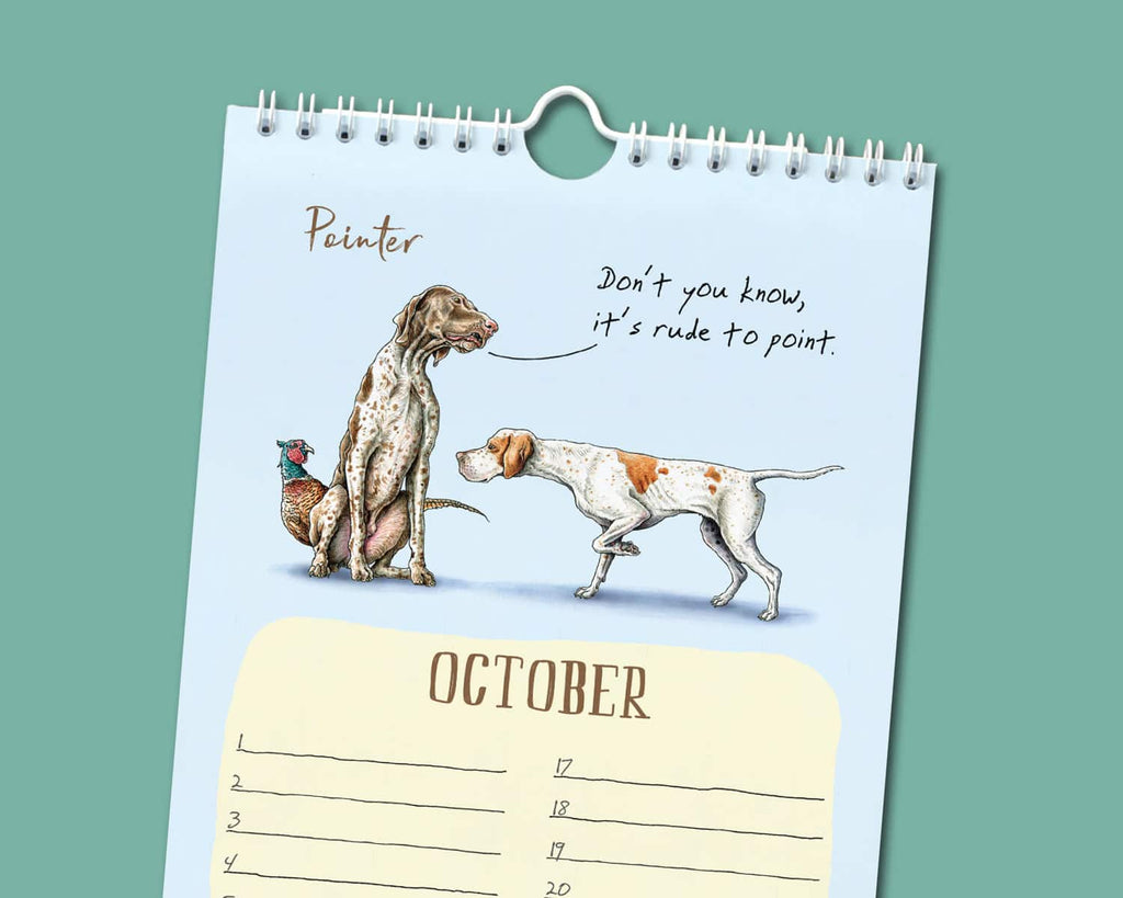 Mostly Wise Thoughts Owl A5 Softcover Notebook