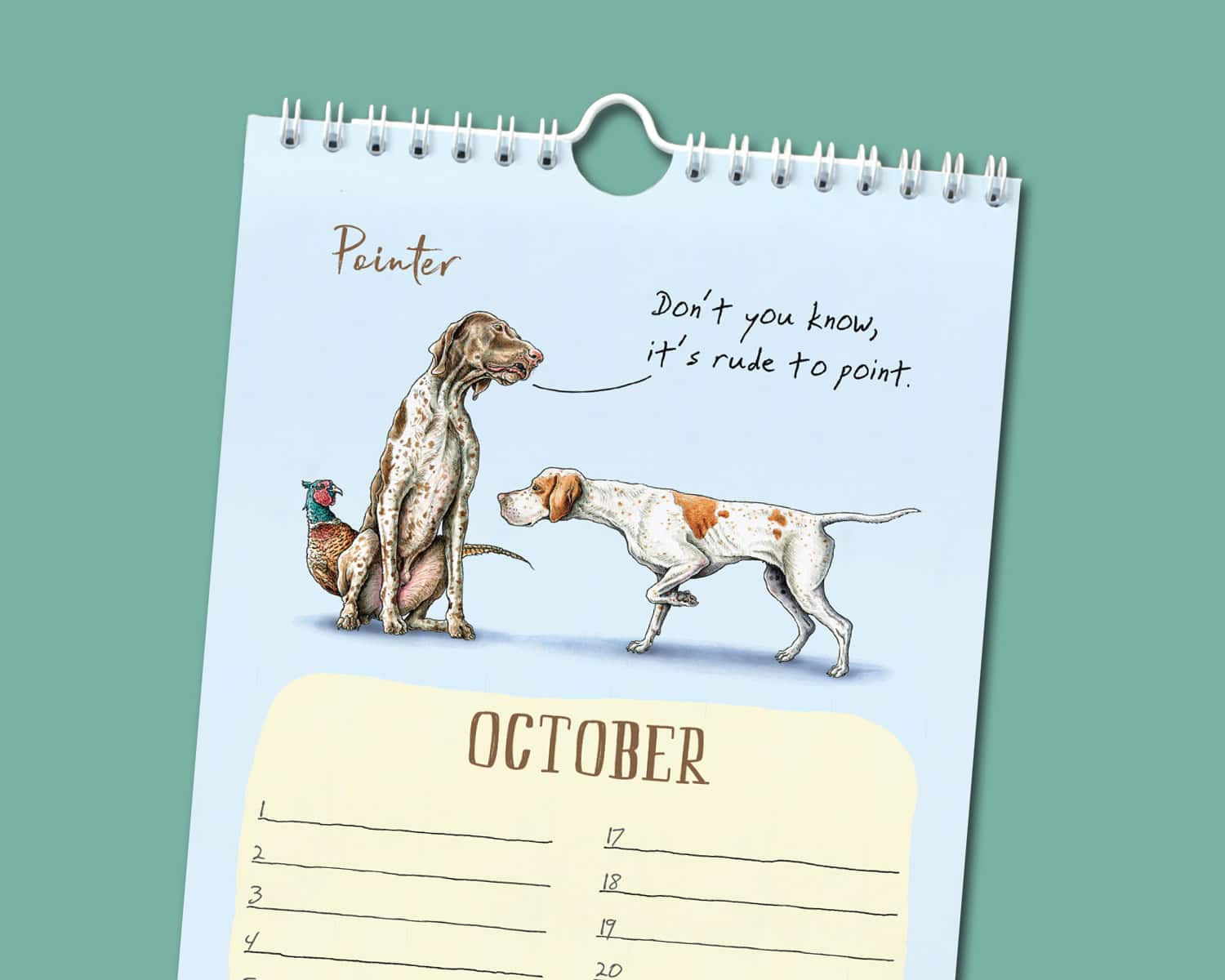 Mostly Wise Thoughts Owl A5 Softcover Notebook