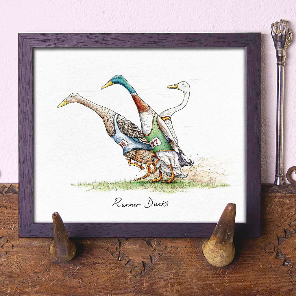 Runner Ducks