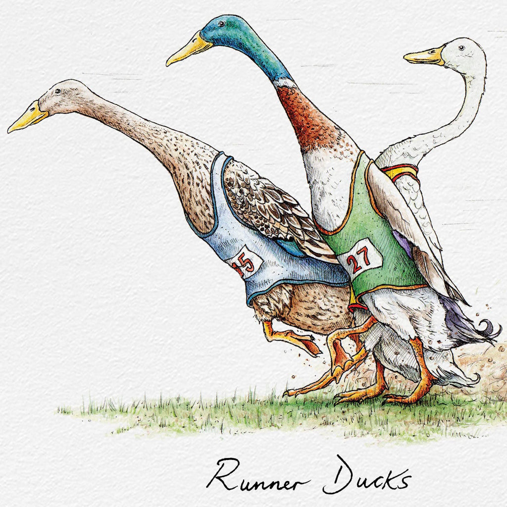 Runner Ducks
