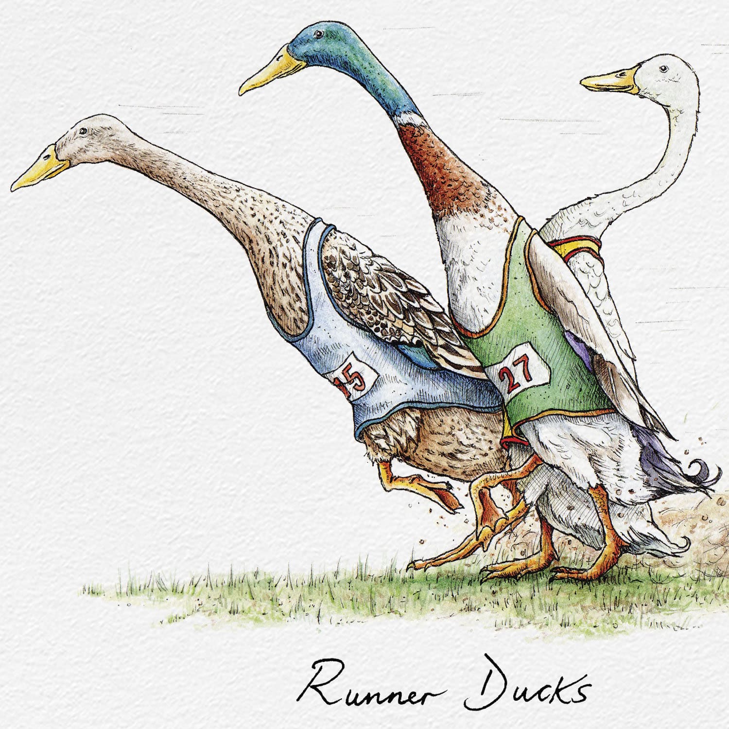 Runner Ducks