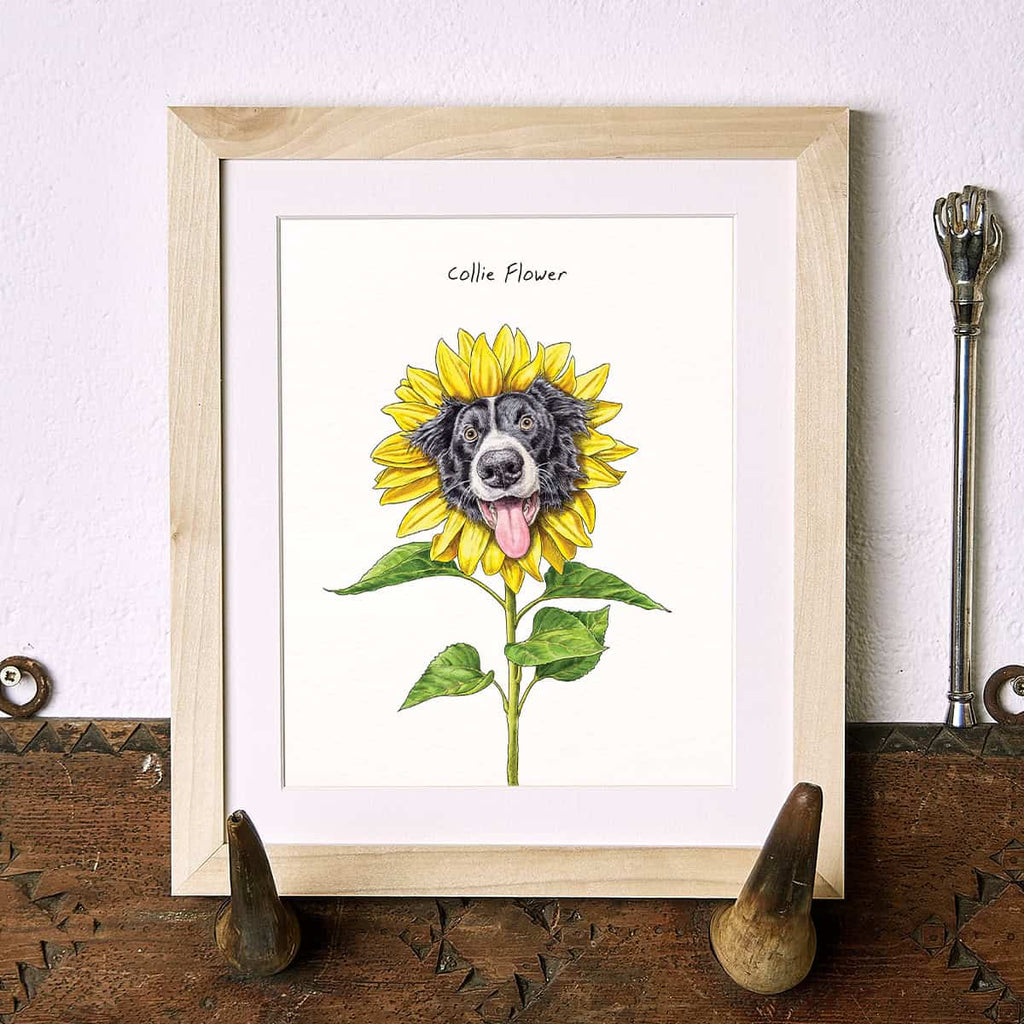 Collie Flower Dog Print