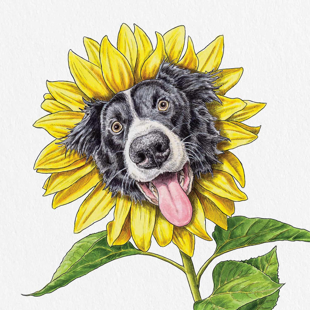 Collie Flower Dog Print