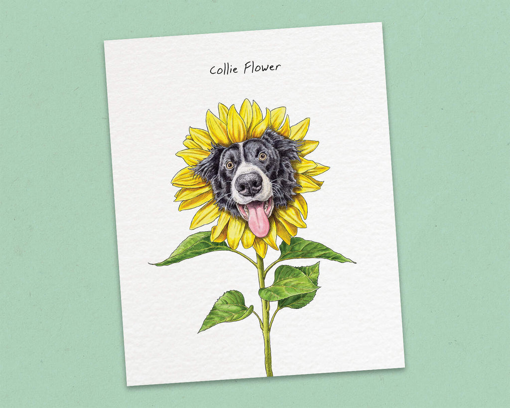 Collie Flower Dog Print