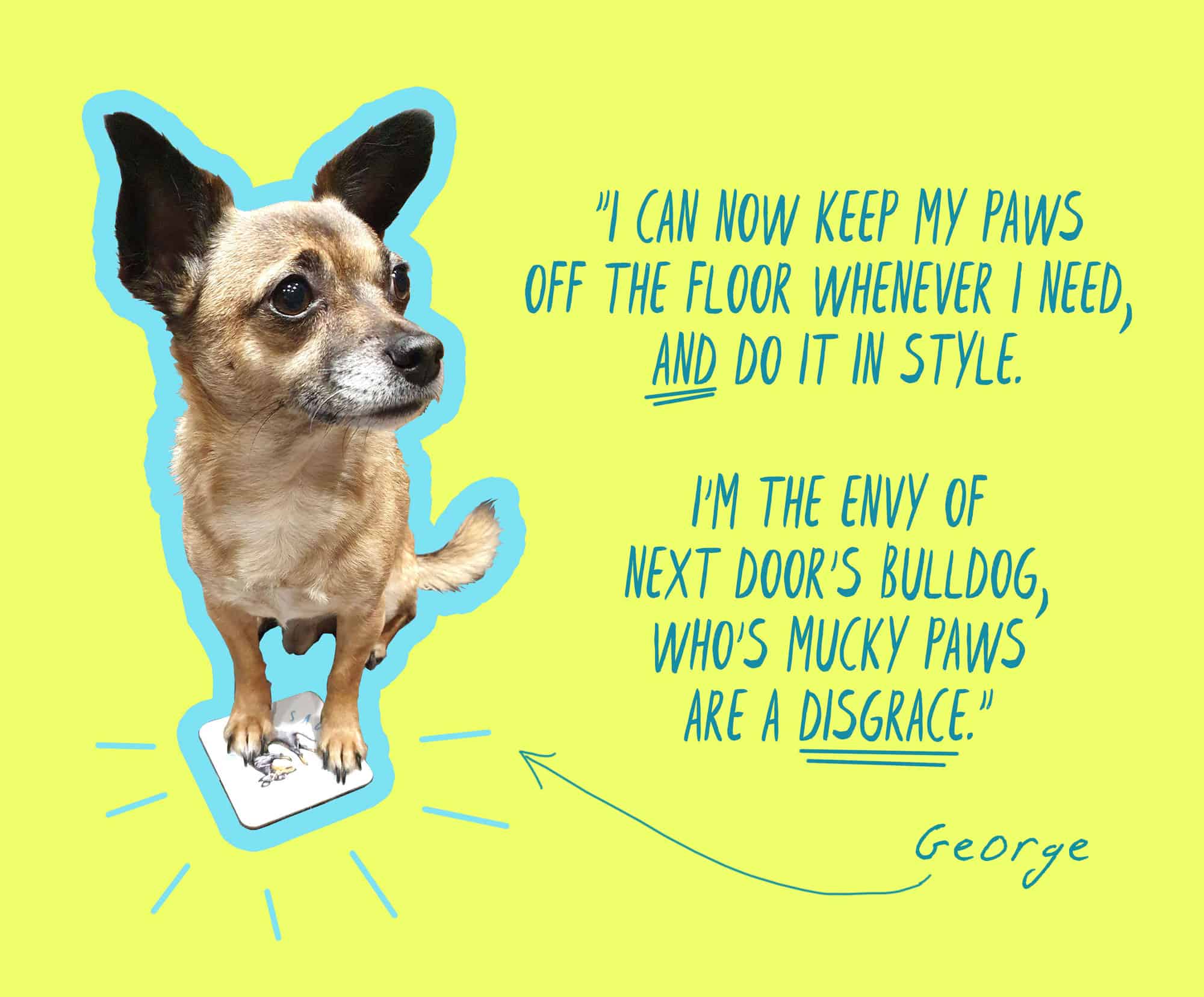 Boarder Terrier Coaster