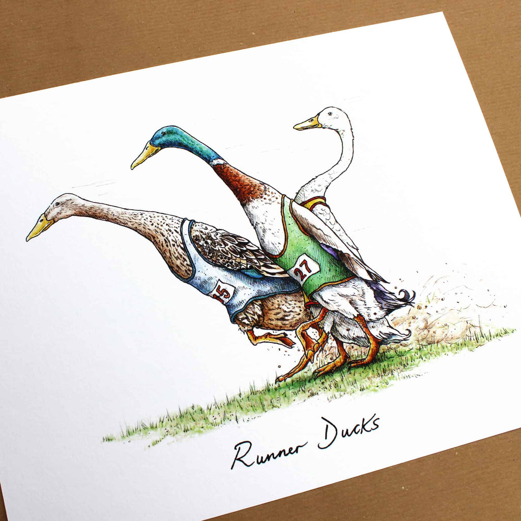 Runner Ducks