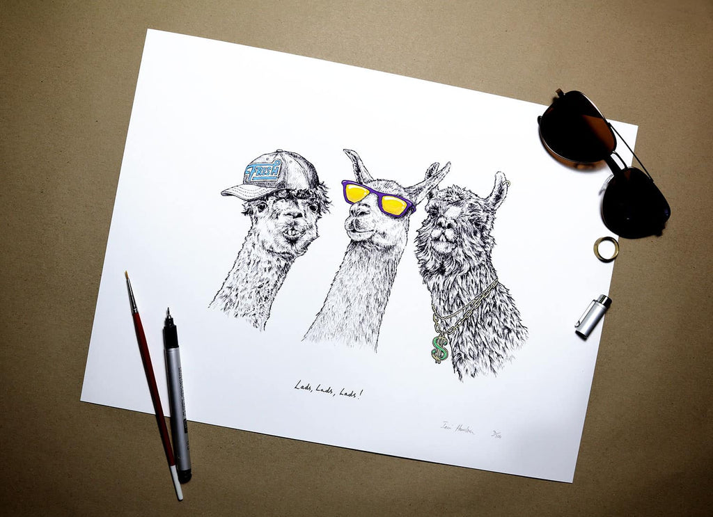 Print of three black and white llamas wearing purple and yellow sunglasses, a cap and a gold chain on a white background