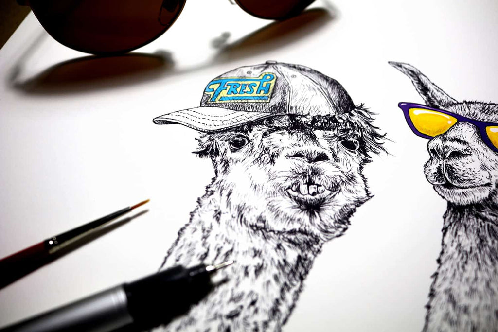 Black and white drawing of two llamas heads wearing a cap with the text “fresh” and purple and yellow sunglasses