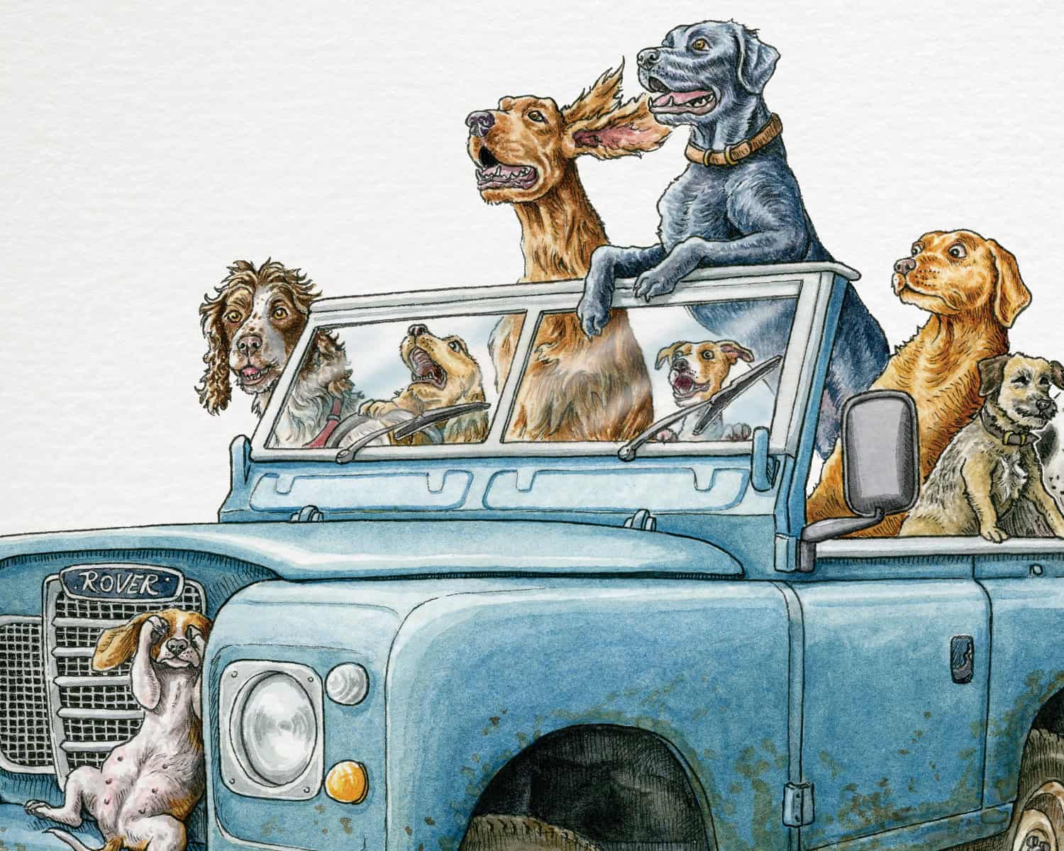 Paw Wheel Drive Print