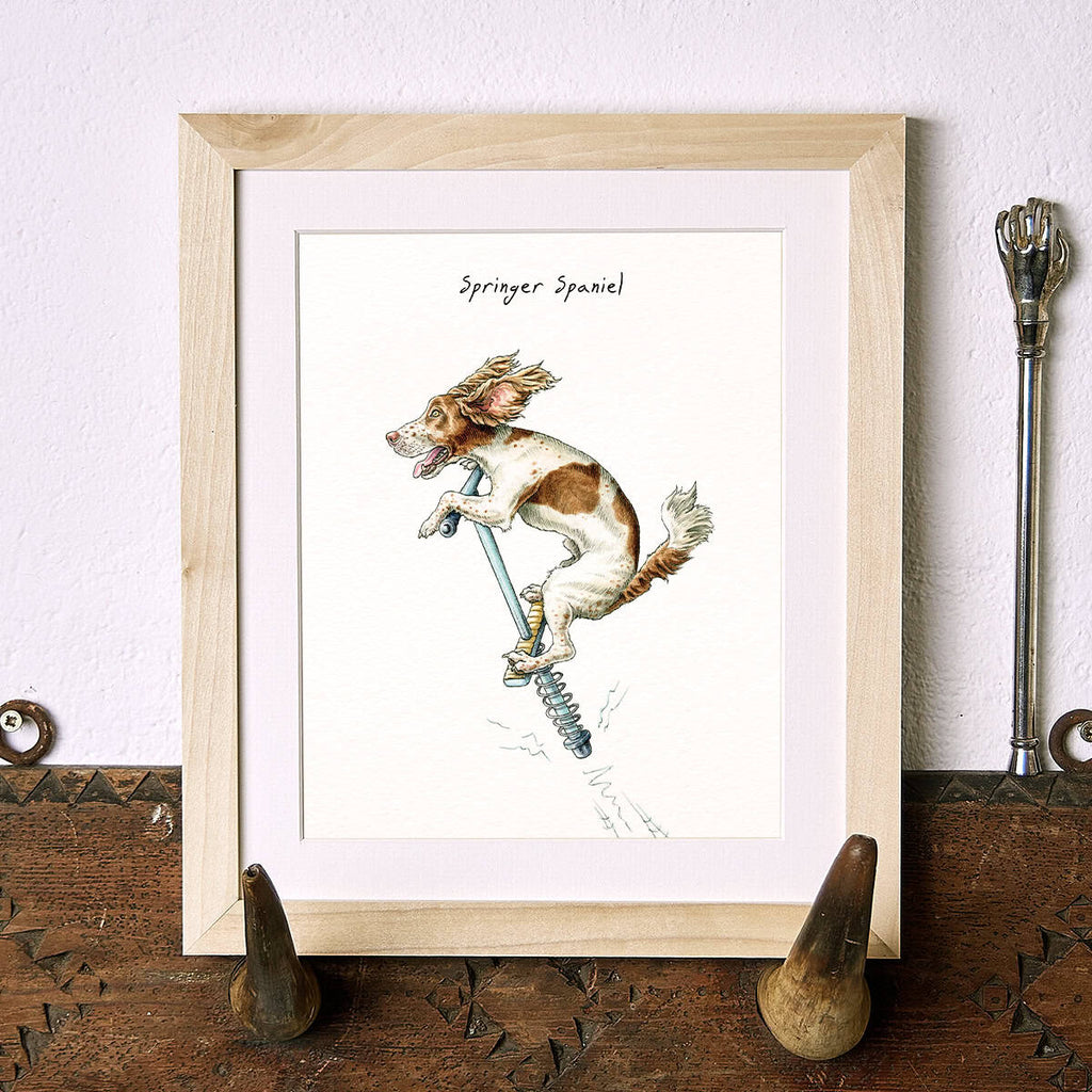 Springer Spaniel Print