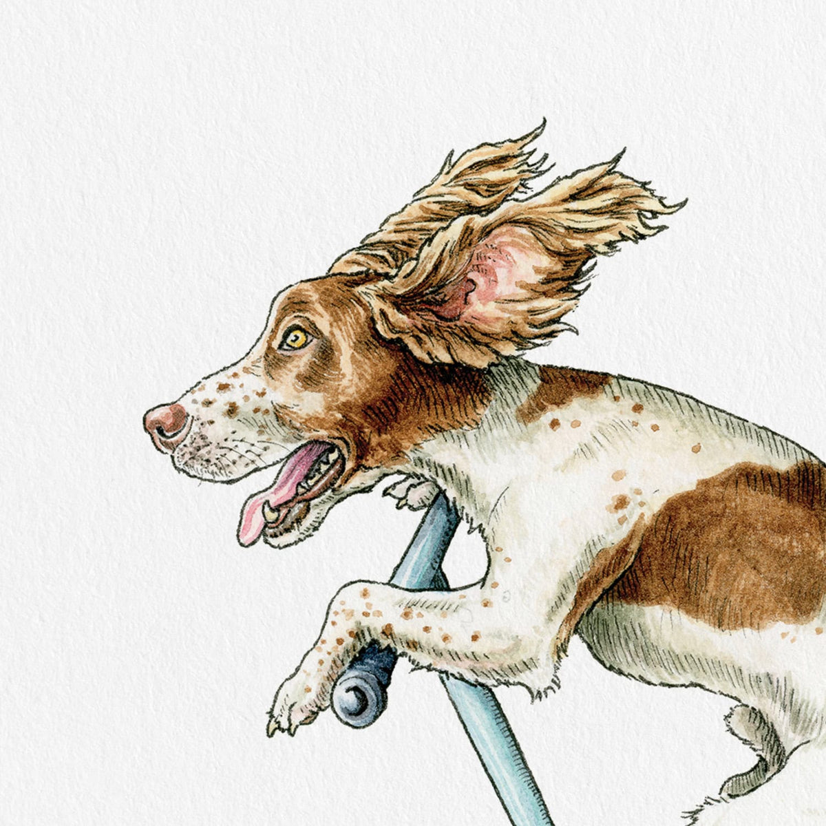 Springer Spaniel Print Springer Spaniel Print - Funny Dog Print – Bewilderbeest