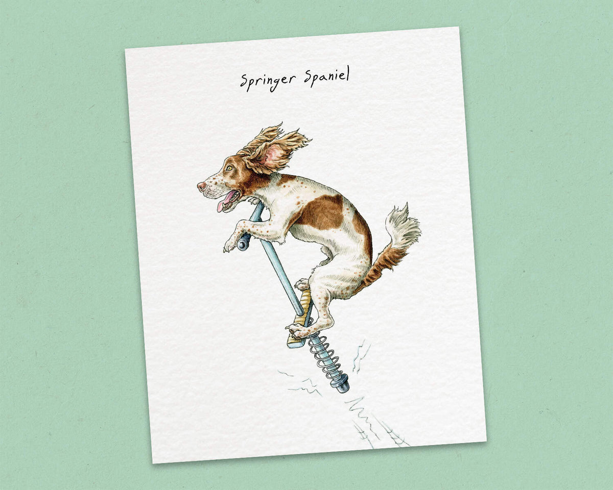 Spingr Springer Spaniel Print - Funny Dog Print – Bewilderbeest