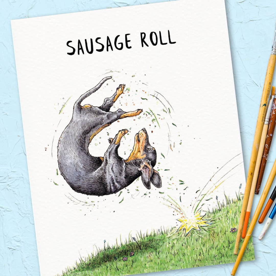 dachshund sausage roll