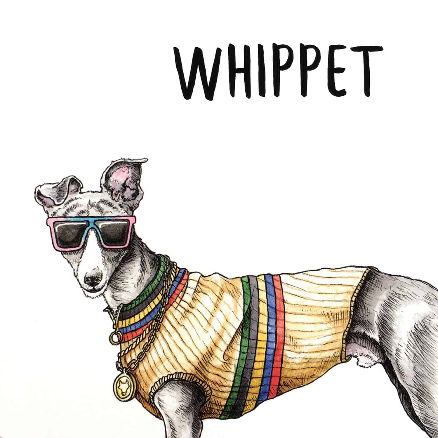 Whippet Print