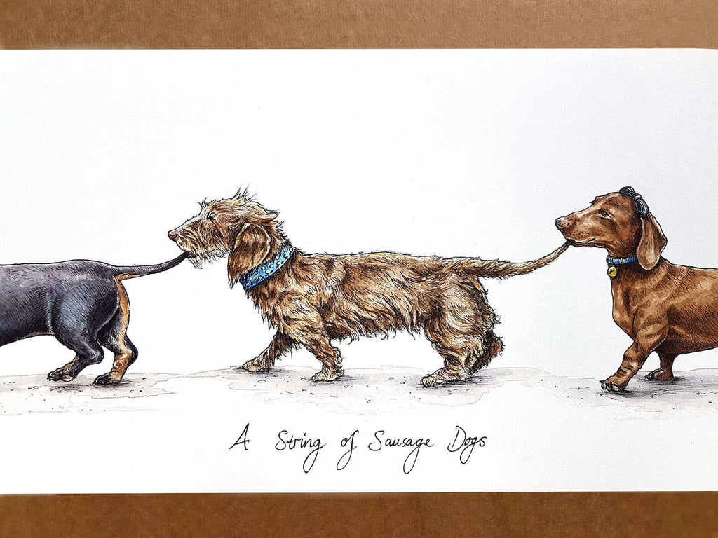Picture of a wire haired dachshund in the middle of two other dachshunds who are all joined by their tails above text