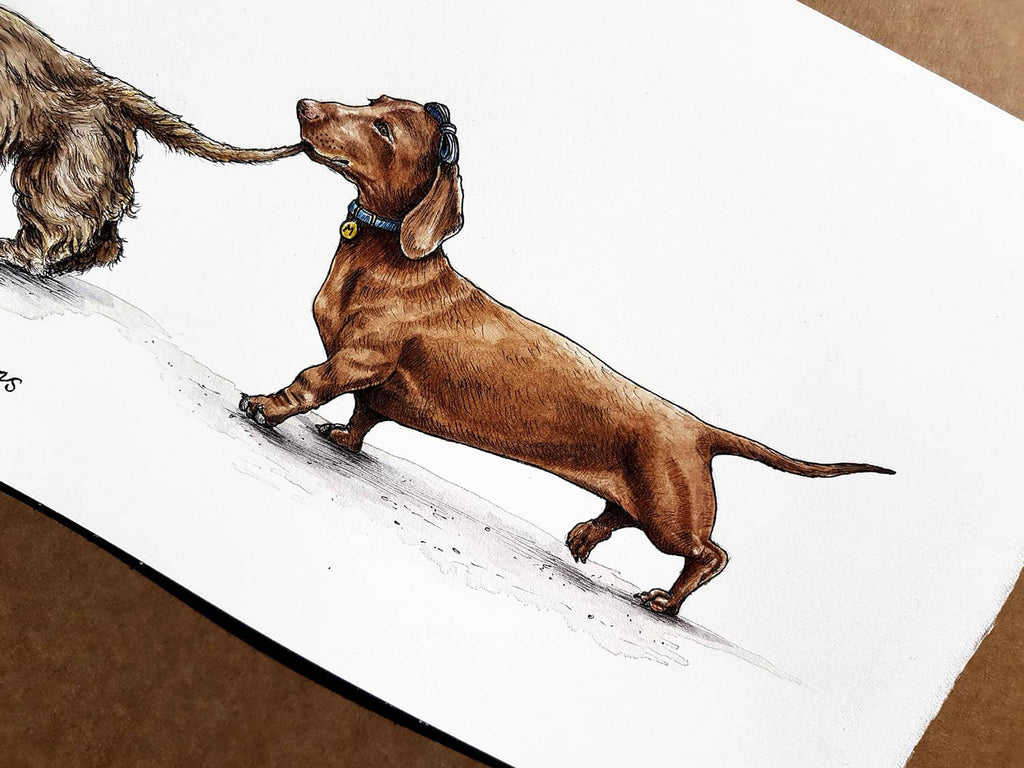 Print of a red dachshund holding wearing a blue collar and bow while holding another dachshund’s tail in its mouth