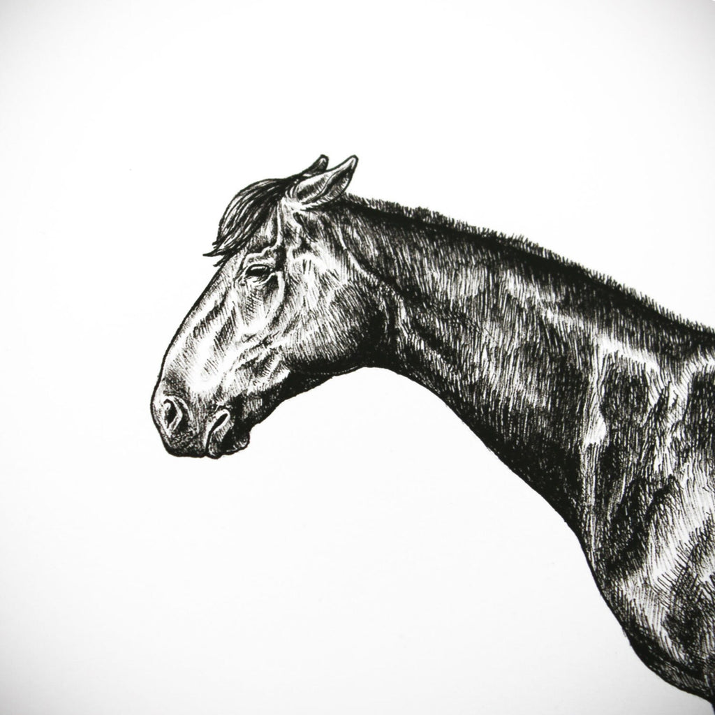 Horseshoes Print