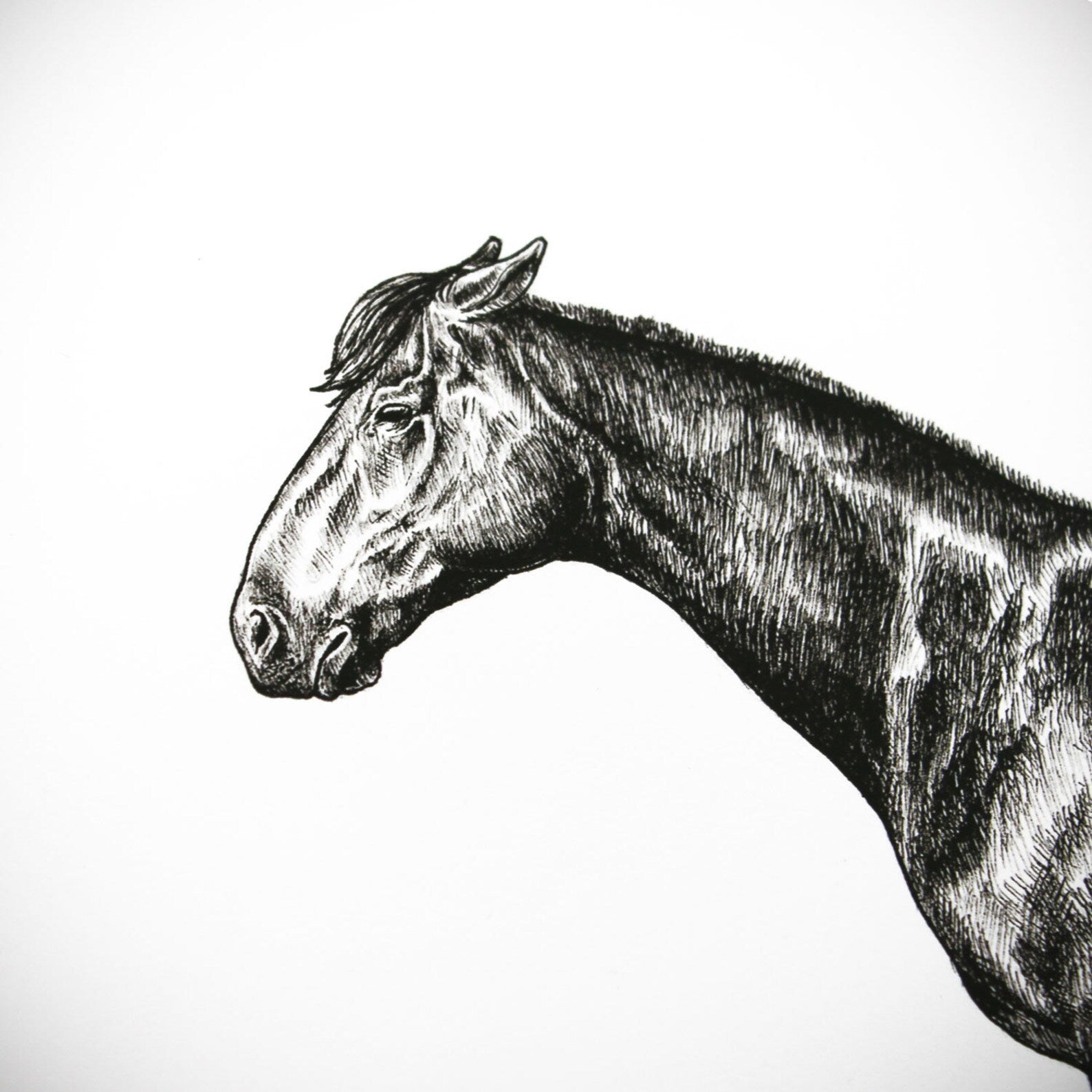 Horseshoes Print