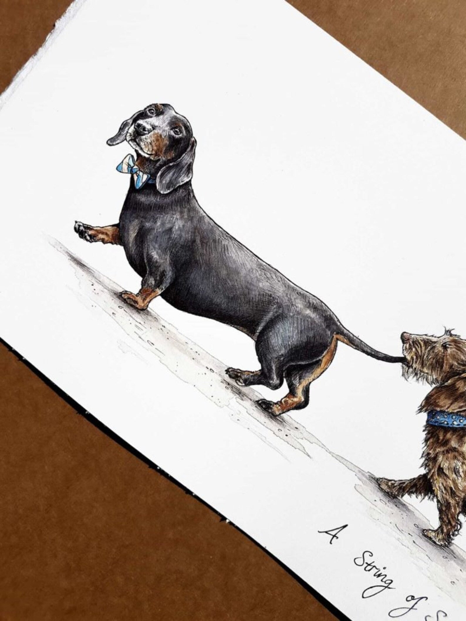 A String Of Sausage Dogs (Small) Print