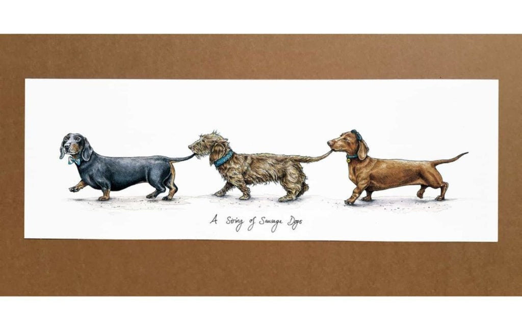 A String Of Sausage Dogs (Small) Print