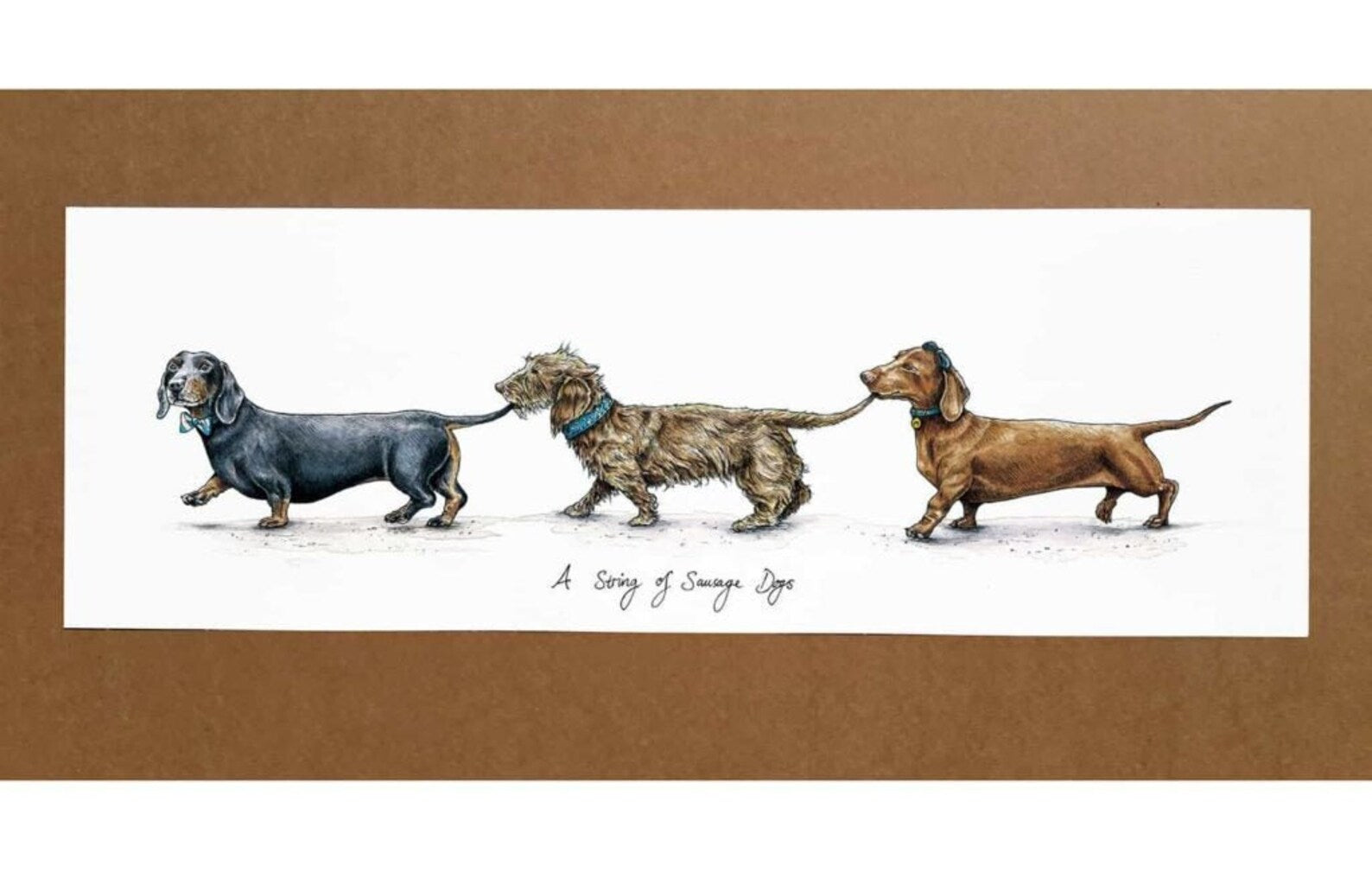 A String Of Sausage Dogs (Small) Print