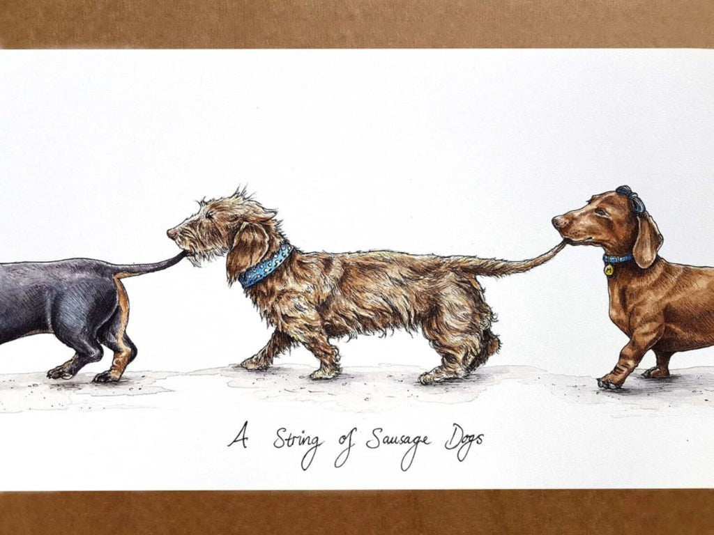 A String Of Sausage Dogs (Small) Print