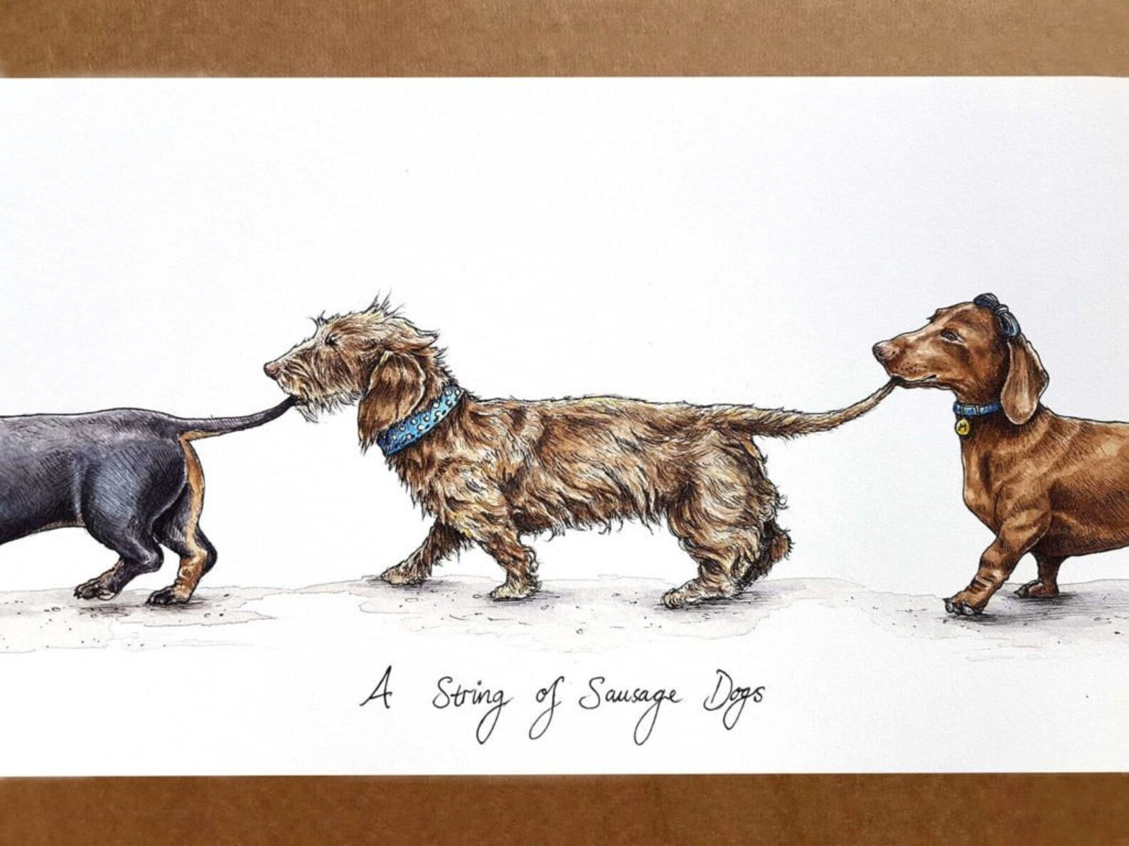 A String Of Sausage Dogs (Small) Print