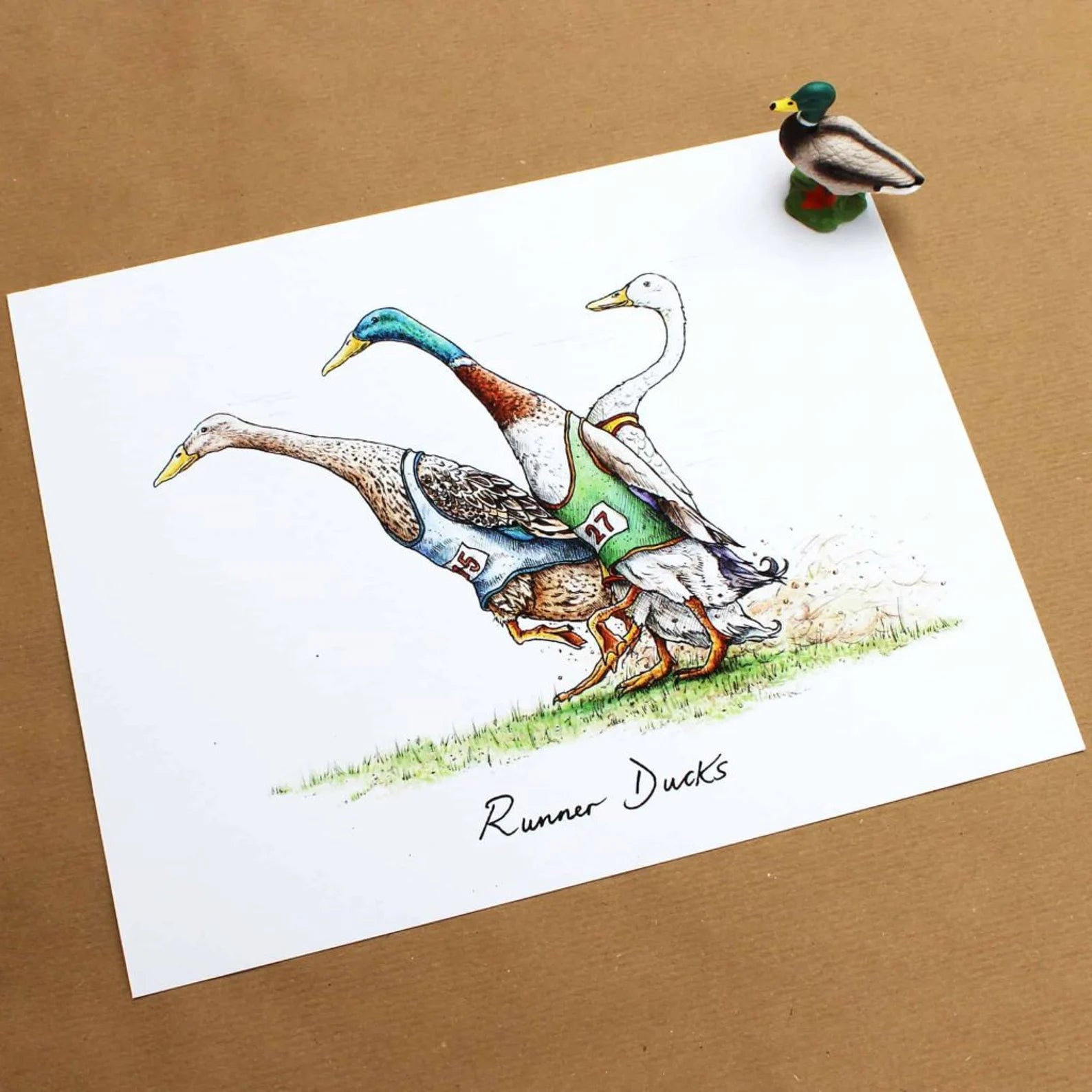 Runner Ducks