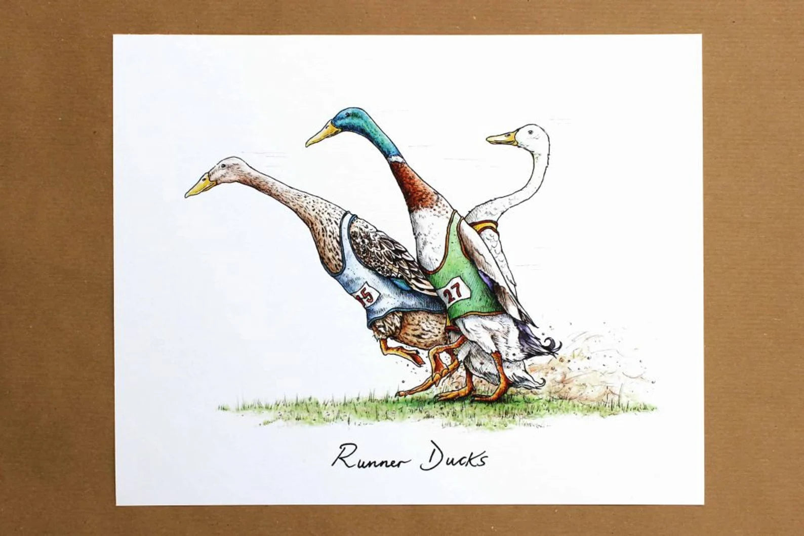 Runner Ducks