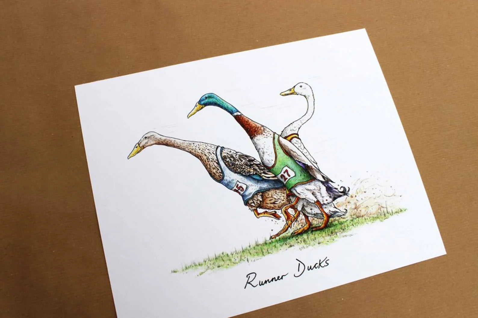 Runner Ducks