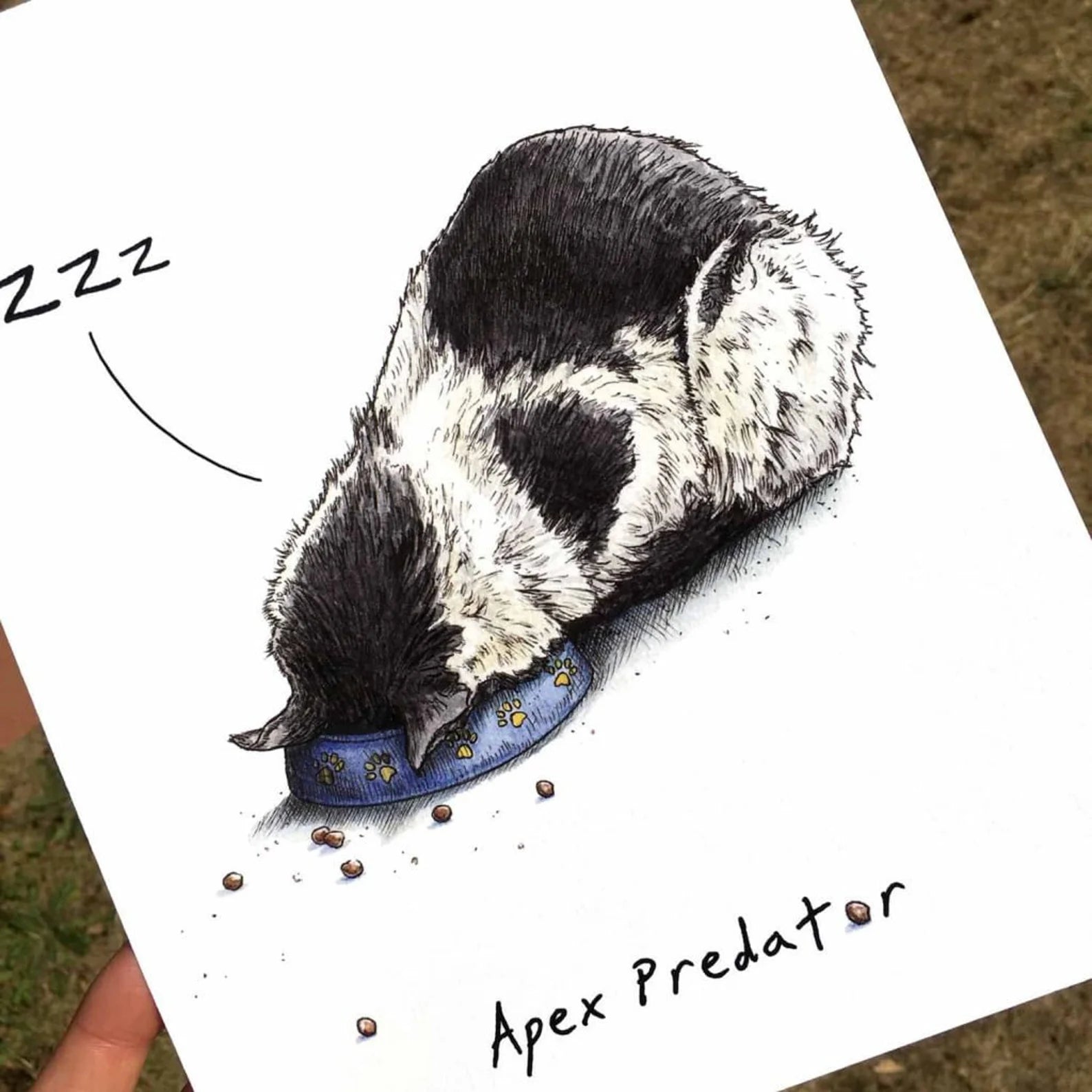 Apex Predator (Snooze) Print
